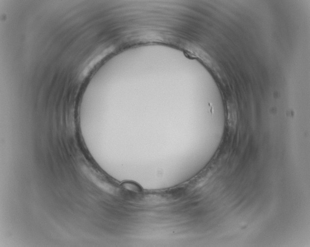 X0000074950390200609291853