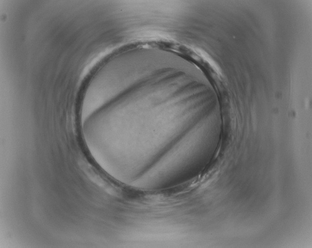 X0000074950391200609291853