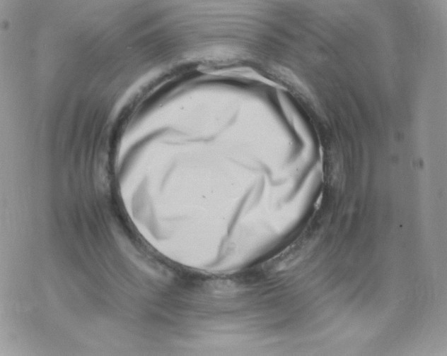 X0000074950392200609291853