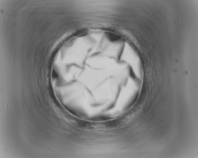 X0000074950395200609291853