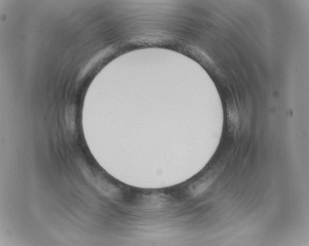 X0000074950396200609291853