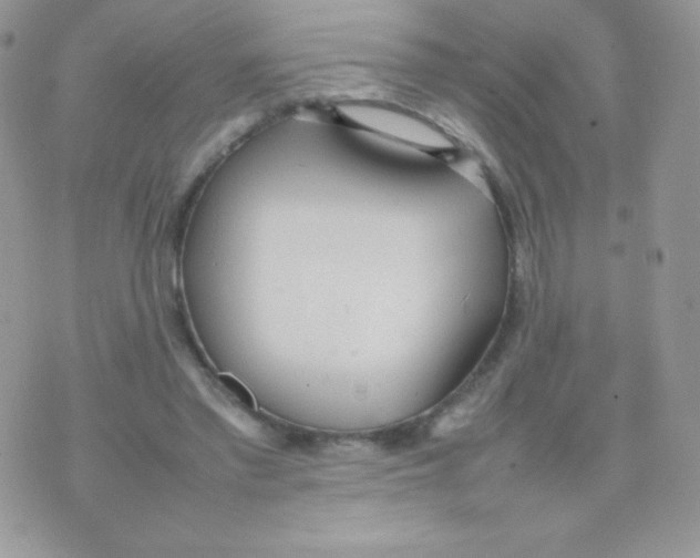 X0000074950397200609291853