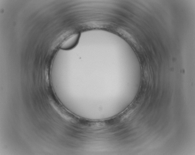 X0000074950398200609291853