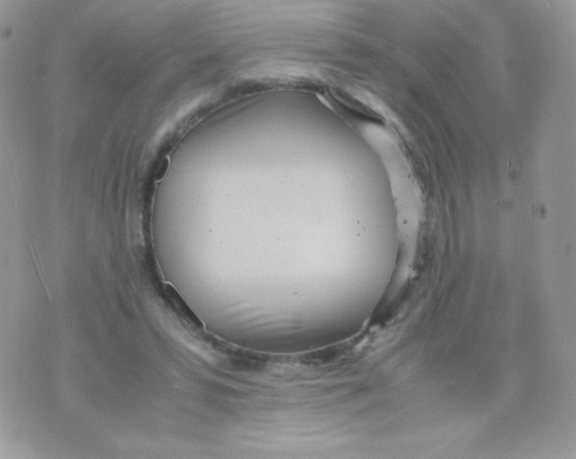 X0000074950399200609291853