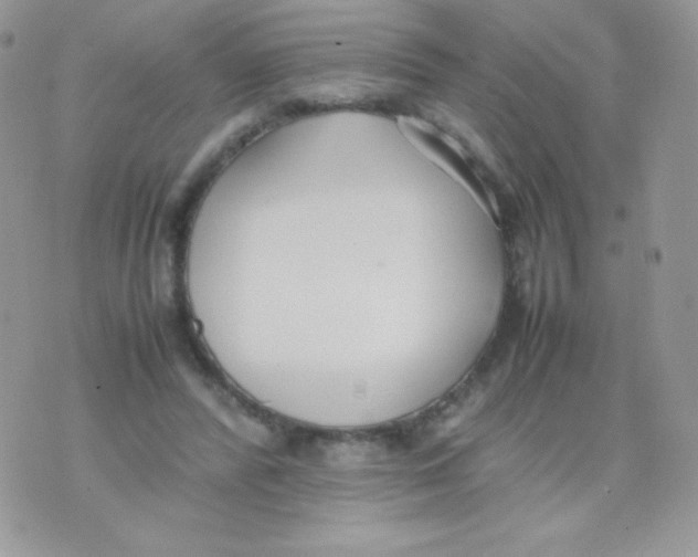 X0000074950400200609291853