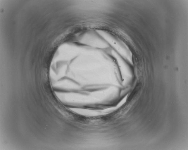 X0000074950401200609291853