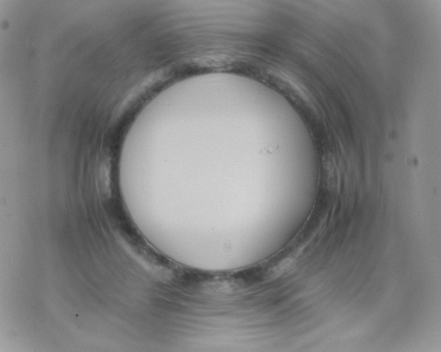 X0000074950404200609291852