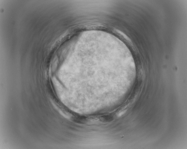 X0000074950405200609291852