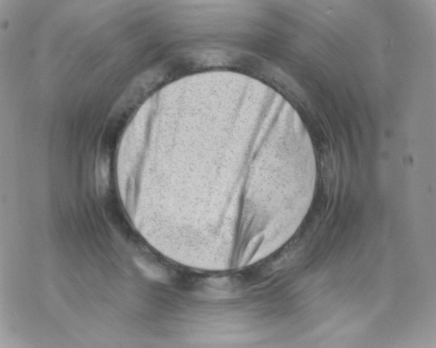 X0000074950406200609291852