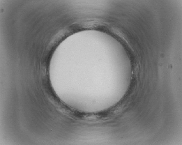 X0000074950407200609291852