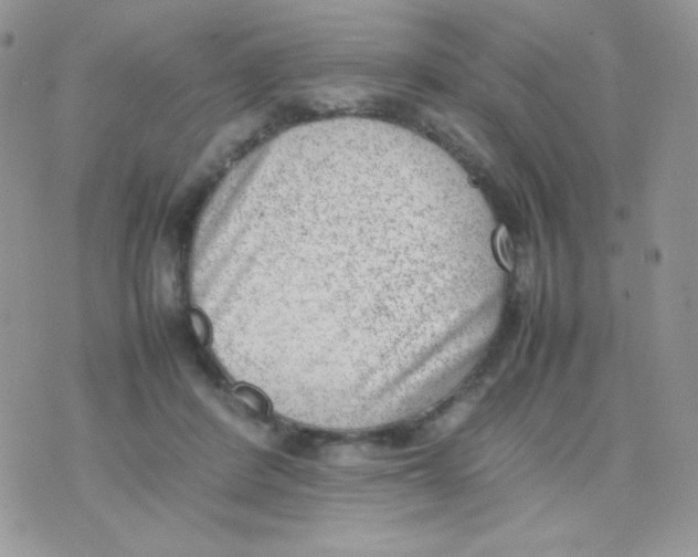 X0000074950408200609291852