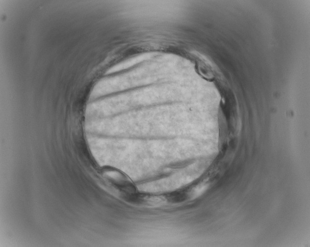 X0000074950409200609291852