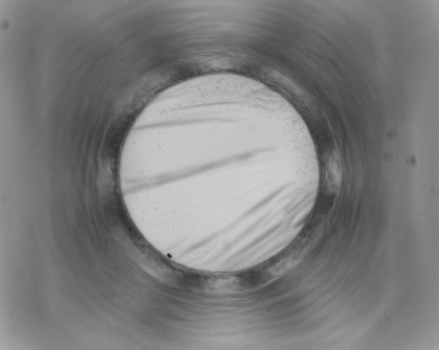 X0000074950410200609291852