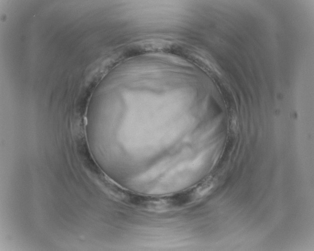 X0000074950411200609291852