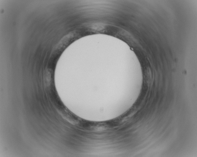 X0000074950412200609291852