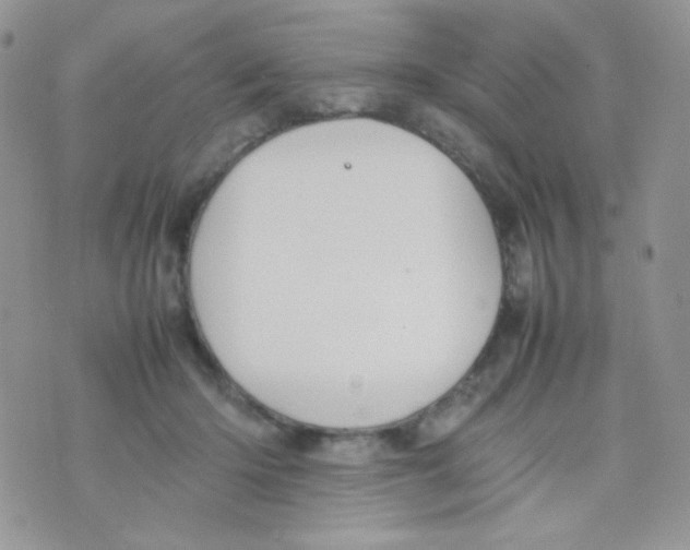 X0000074950414200609291852