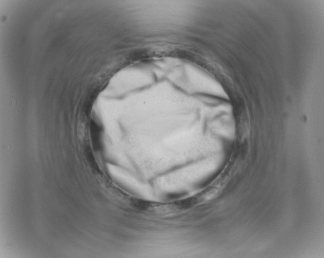 X0000074950417200609291852