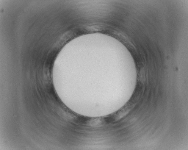 X0000074950418200609291852