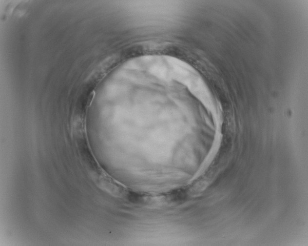 X0000074950419200609291852