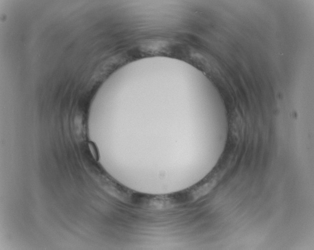 X0000074950420200609291852