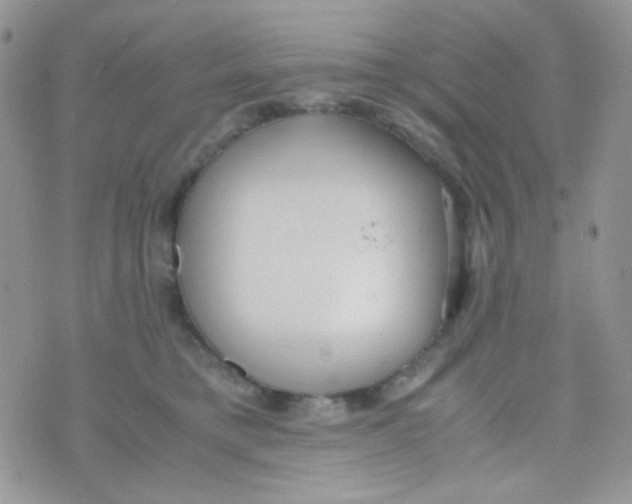 X0000074950421200609291852