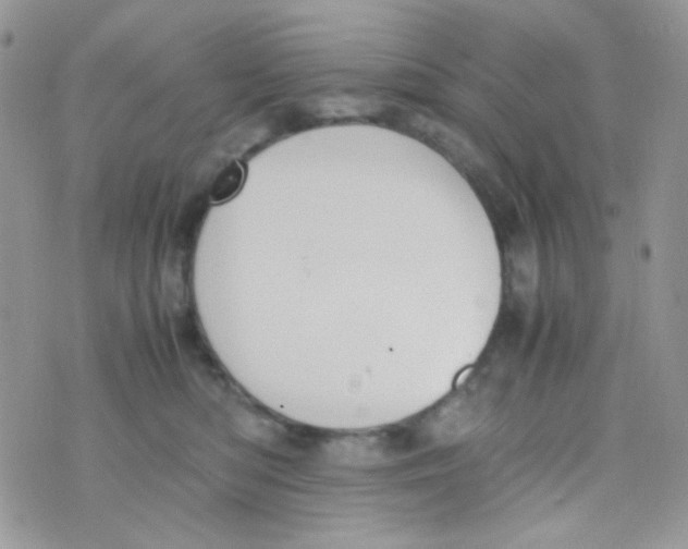 X0000074950422200609291852