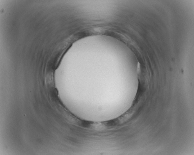 X0000074950425200609291852