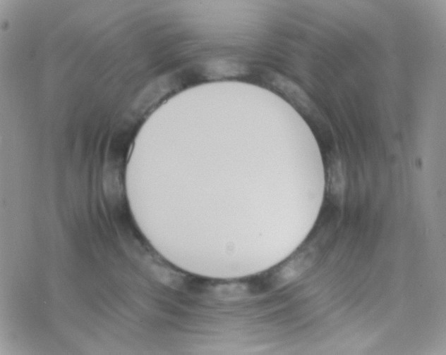 X0000074950426200609291852