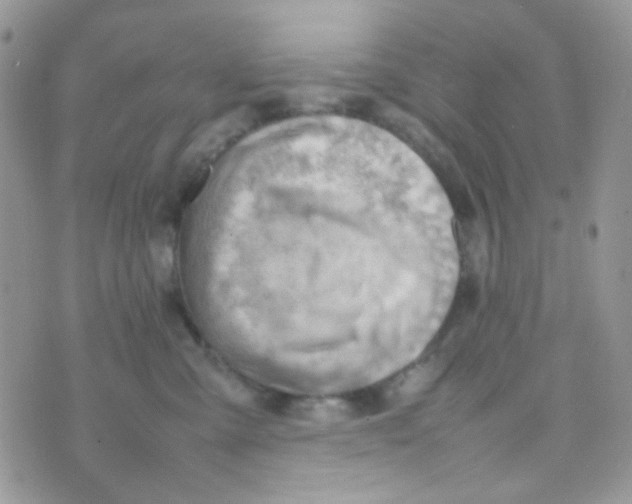 X0000074950427200609291852