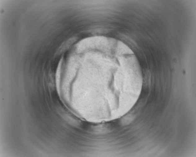 X0000074950430200609291852