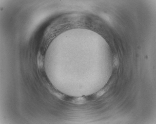 X0000074950431200609291852