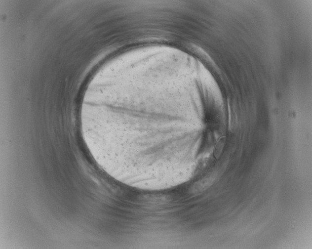 X0000074950435200609291851