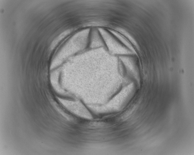 X0000074950437200609291851