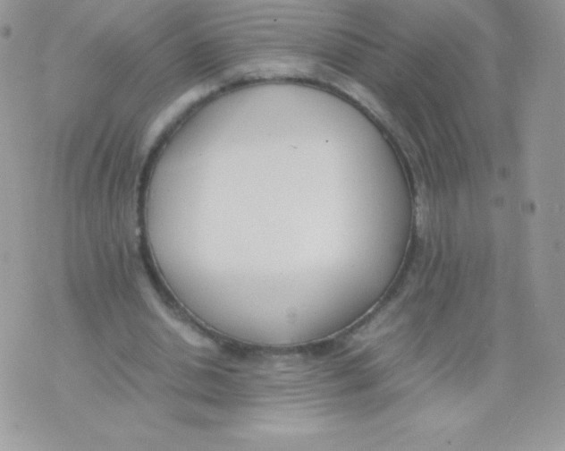 X0000074950438200609291851