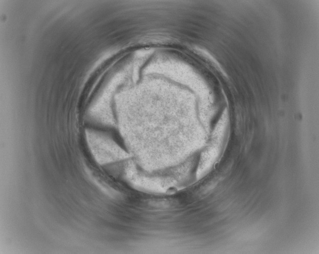 X0000074950439200609291851