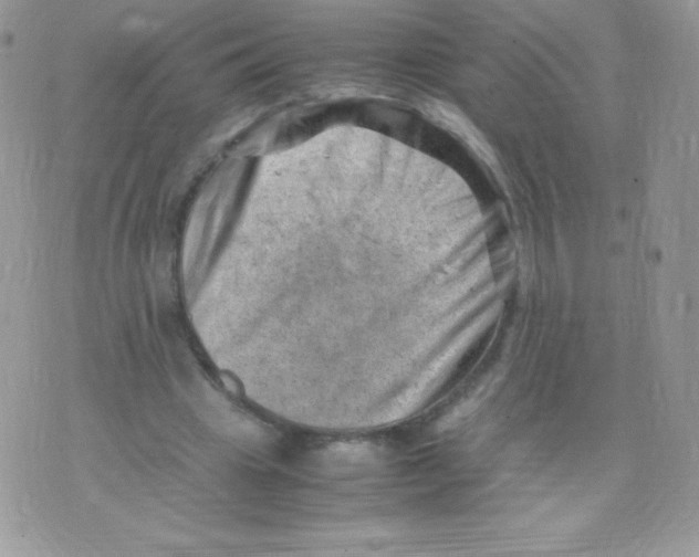 X0000074950441200609291851