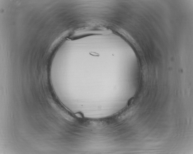 X0000074950442200609291851