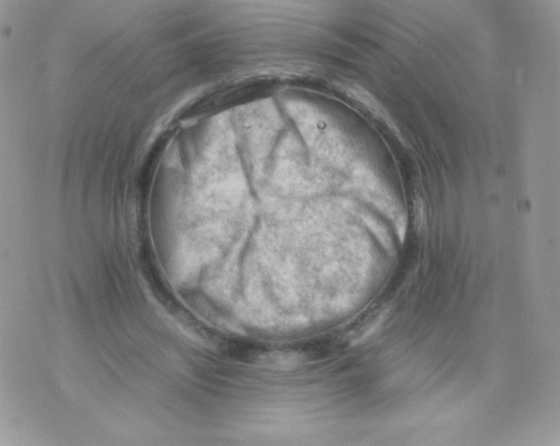 X0000074950444200609291851