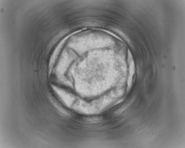 X0000074950445200609291851