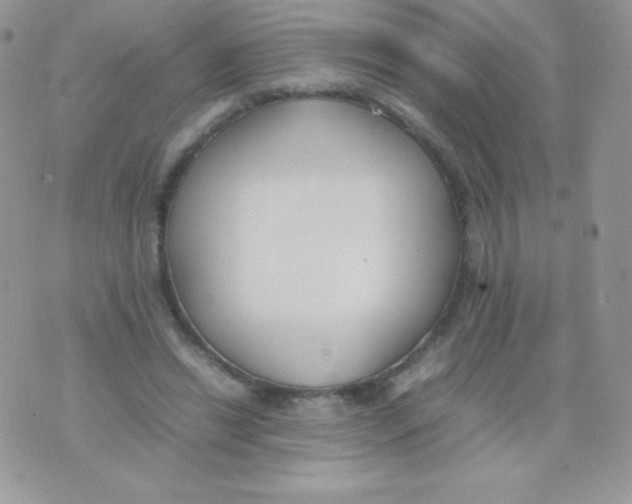 X0000074950446200609291851