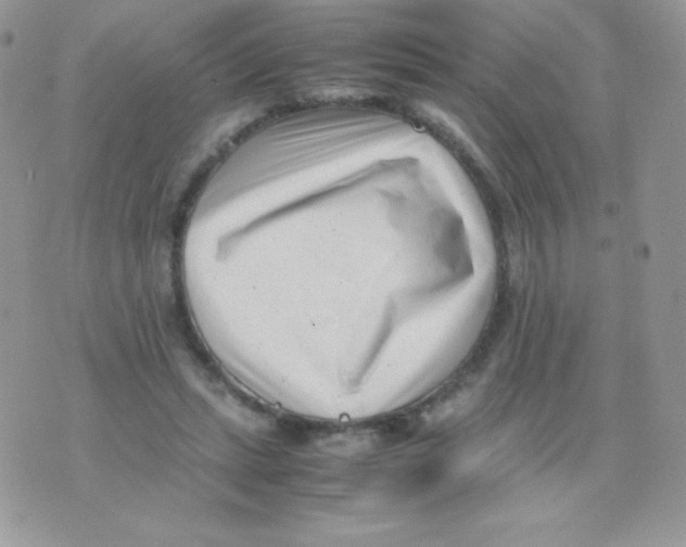 X0000074950447200609291851