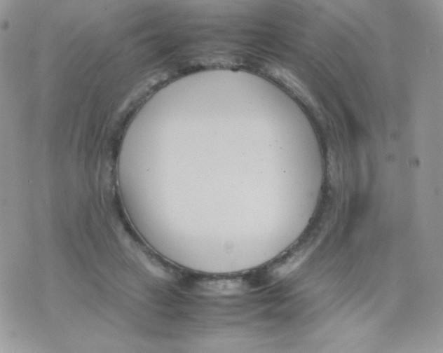 X0000074950449200609291851