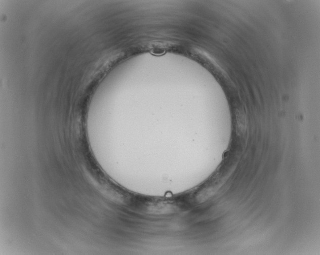 X0000074950451200609291852