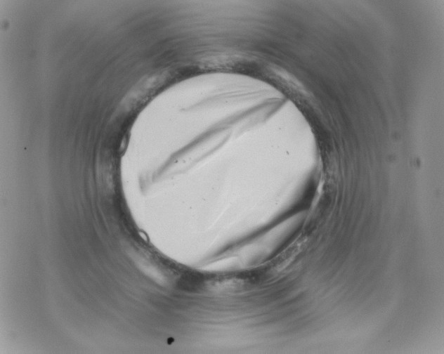 X0000074950452200609291852