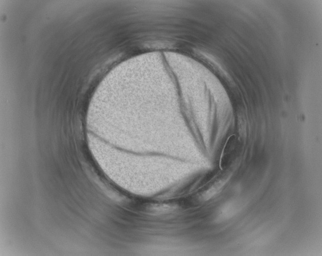 X0000074950453200609291852