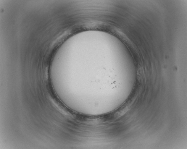 X0000074950454200609291852