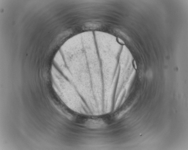 X0000074950455200609291852