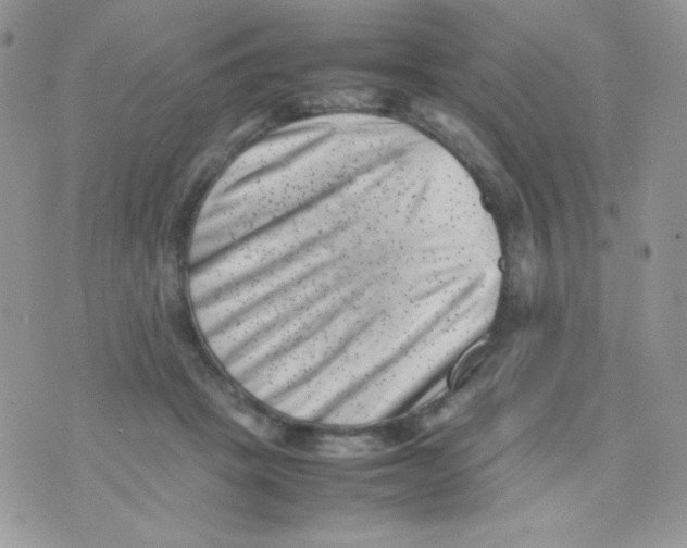 X0000074950457200609291852