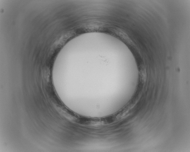 X0000074950458200609291852