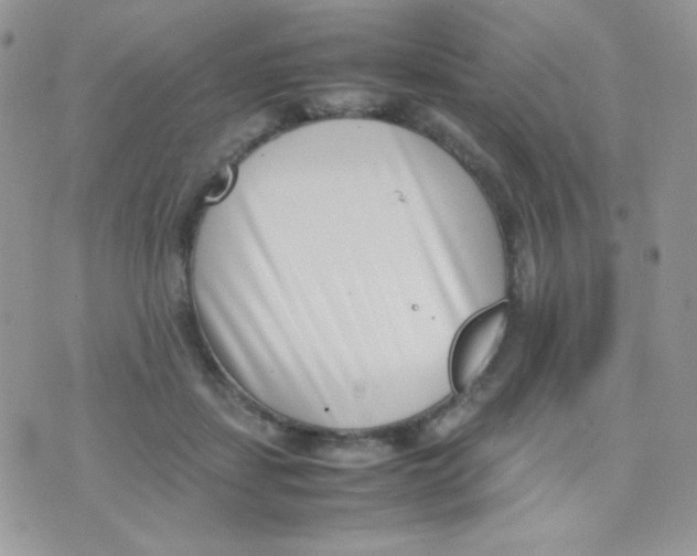 X0000074950459200609291852